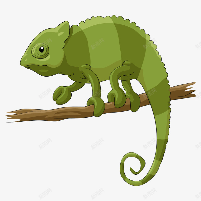 绿色蜥蜴png免抠素材_88icon https://88icon.com 动物 动物插画 卡通动物 卡通蜥蜴 树枝上的蜥蜴 矢量动物