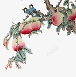 手绘中国风桃子树小鸟水墨画素材