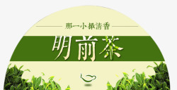 明前龙井茶明前茶茶叶装饰高清图片