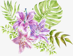 创意夏季彩铅花卉装饰图素材