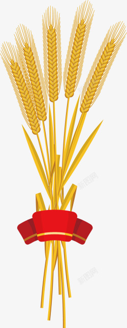 麦子装饰红色丝带丰收麦子矢量图高清图片