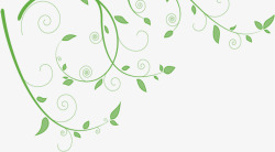 手绘绿色树叶夏季藤蔓装饰素材
