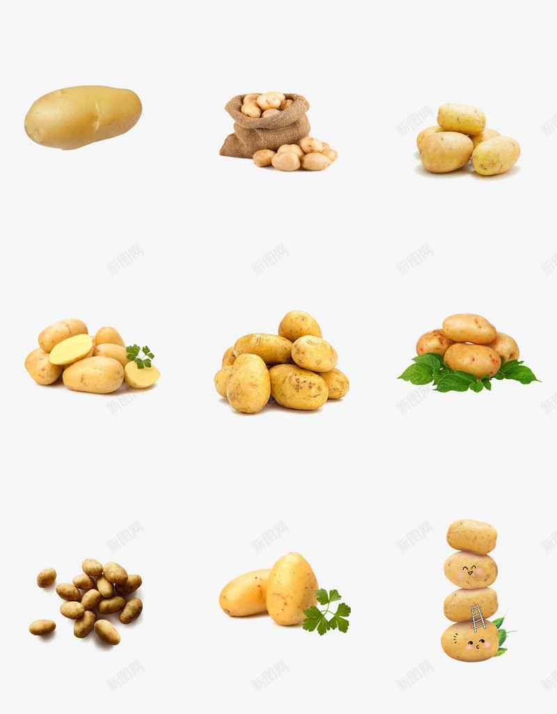 实物土豆组合摆拍psdpsd免抠素材_88icon https://88icon.com psd 一个土豆 一堆土豆 产品实物 土豆 实物 摄影