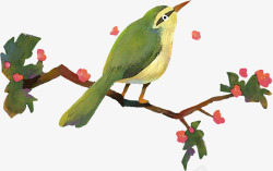 水彩画树枝上的翠绿小鸟素材