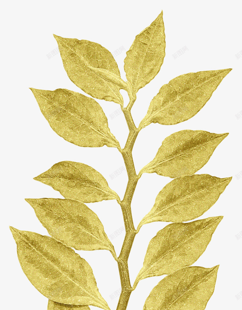 金色漂亮枝叶png免抠素材_88icon https://88icon.com 叶子 枝叶 树叶 树枝 漂亮枝叶 金色枝叶