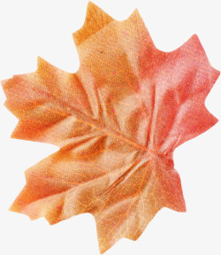 秋天桔红色枫叶树叶素材