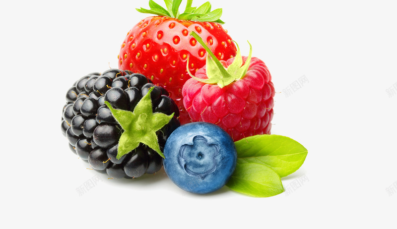 夏季水果草莓png免抠素材_88icon https://88icon.com 夏季水果 桑葚 水果集合 草莓 蓝莓