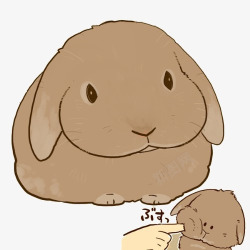 棕色胖兔子素材