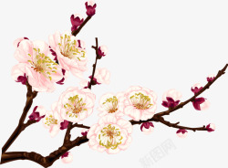 手绘粉色复古花朵树枝素材