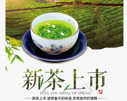 新茶上市茶杯茶叶素材