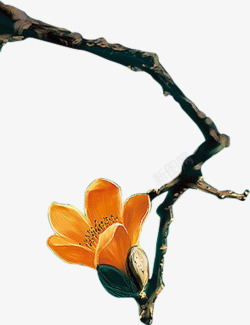 手绘树枝花朵插图素材