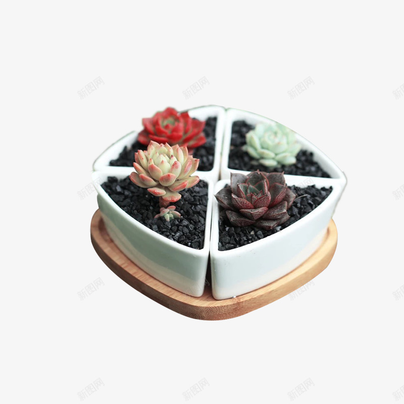 DIY植物组合png免抠素材_88icon https://88icon.com DIY 产品实物 创意花盆 多肉 植物 盆栽 组合