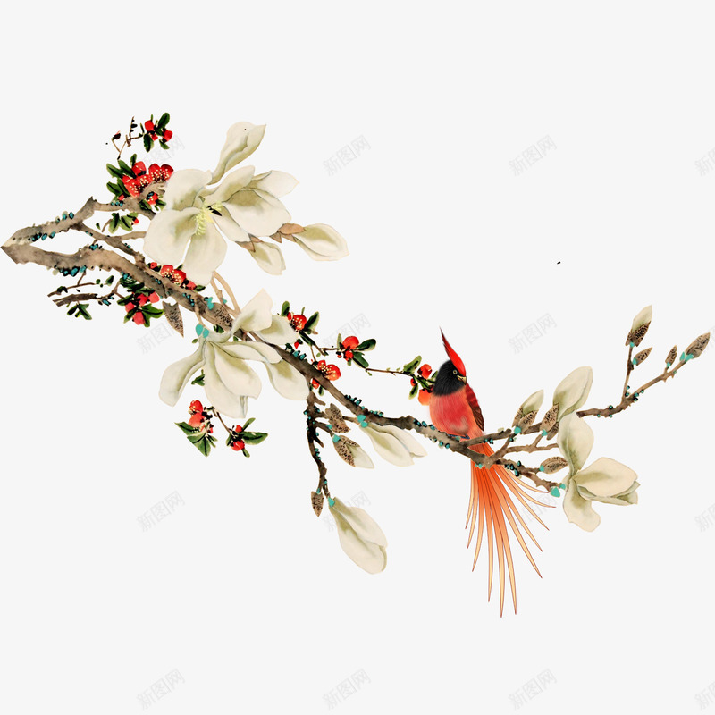 鸟在枝头png免抠素材_88icon https://88icon.com 小鸟 火红色 白色 花朵 花枝 锦鸡 长尾巴鸟 鸟在枝头