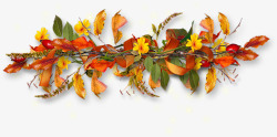 秋天黄色叶子花枝装饰素材