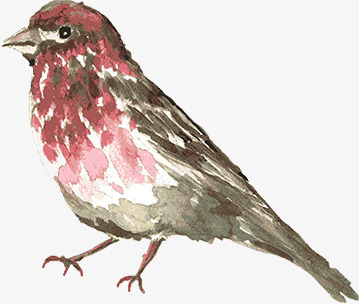 创意合成水彩油画小鸟png免抠素材_88icon https://88icon.com 创意 合成 小鸟 水彩 油画