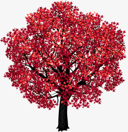 红色枫叶树素材