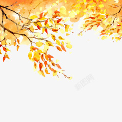 彩绘秋季金色树木树叶素材