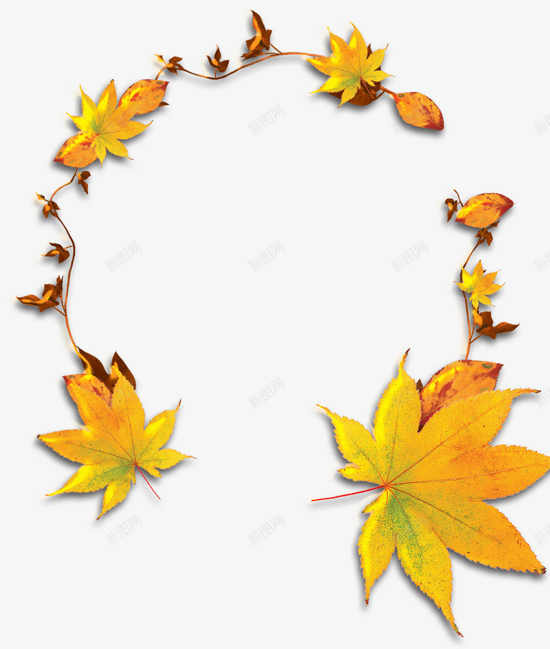 黄色枫叶藤条圆环装饰图案png免抠素材_88icon https://88icon.com 免抠PNG 圆环 枫叶 藤条 装饰图案 黄色