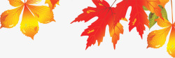 秋季黄红色手绘枫叶素材