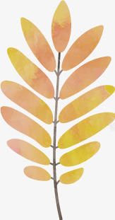 黄色秋天树叶素材