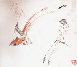 中国古代画枝头鸟高清图片