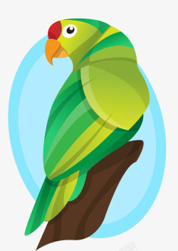 美丽绿色鹦鹉矢量图素材