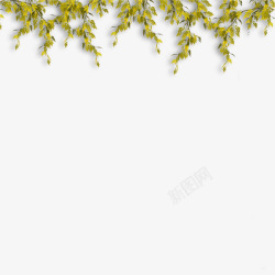 黄绿色清新树枝边框纹理素材