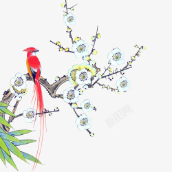 鸟在枝头素材
