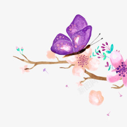 水彩绘唯美紫色蝴蝶花卉素材