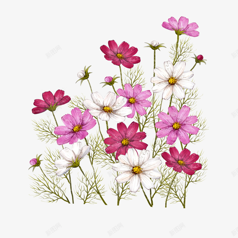 草地上的野花png免抠素材_88icon https://88icon.com 枝叶 树枝 粉色 红色 花朵