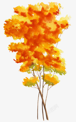手绘橘色的树木图素材