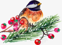 圣诞节彩绘小鸟矢量图素材