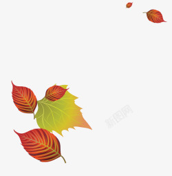 秋天树叶背景装饰图案素材