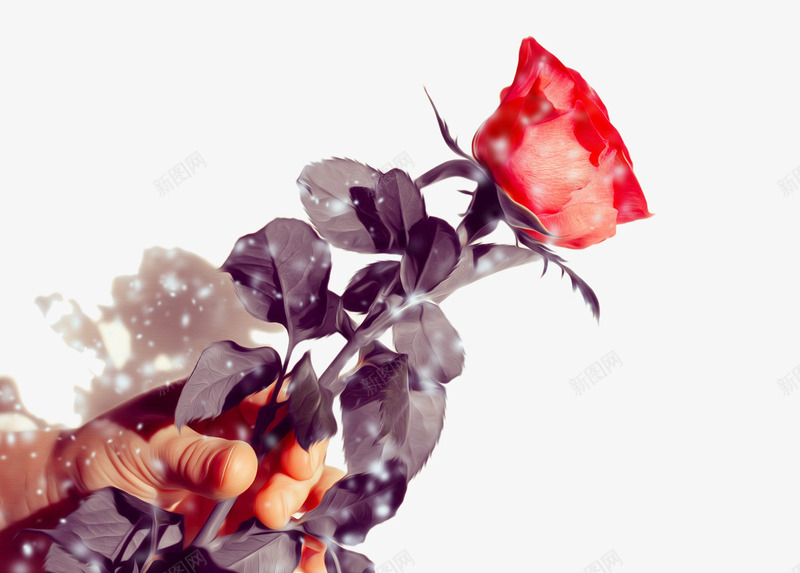 手拿着玫瑰png免抠素材_88icon https://88icon.com 手势 手绘玫瑰花 红色 鲜花植物