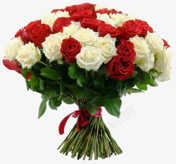 白玫瑰与红玫瑰花束素材