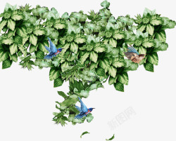 绿色花朵叶子蓝色小鸟素材