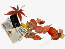 枫叶秋天钞票美元手机素材