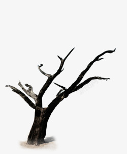 黑色干枯的树枝插图素材