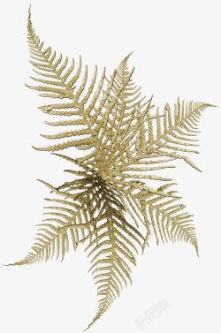 金色枝叶素材