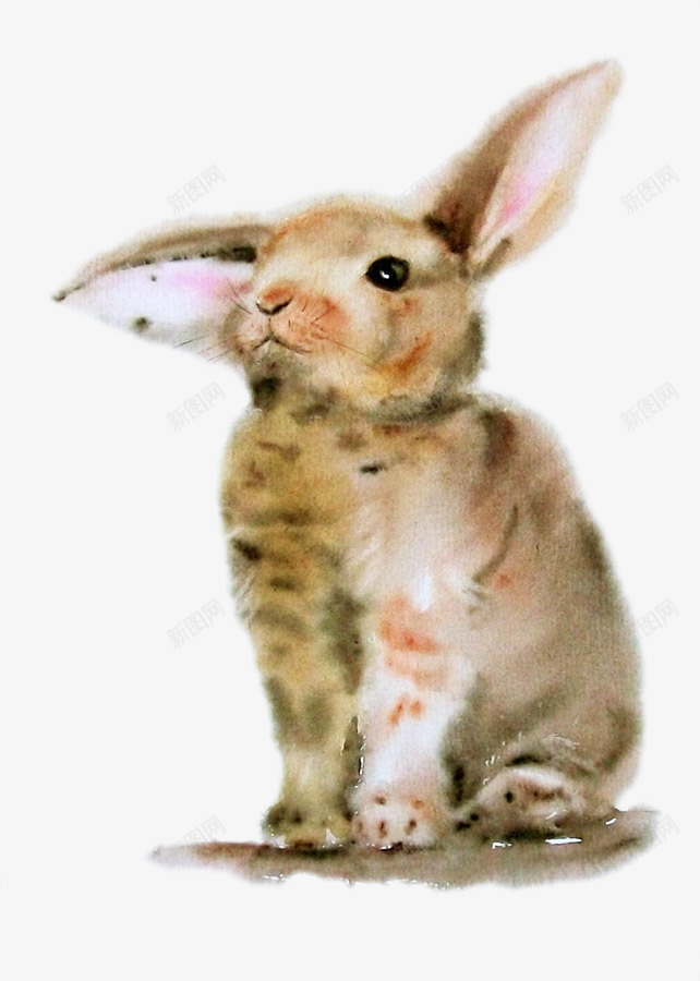 毛绒绒的小兔子png免抠素材_88icon https://88icon.com 兔子 动物 宠物 手绘 萌宠