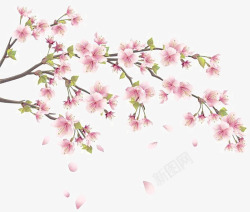 海报粉色花朵树枝素材