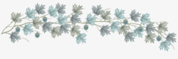 灰色手绘枫叶树叶边框装饰素材