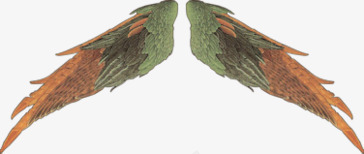 手绘红色炫酷翅膀透明背景png免抠素材_88icon https://88icon.com PNG透明 手绘 炫酷 红色 翅膀 背景素材