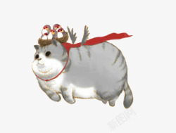 会飞的猫素材