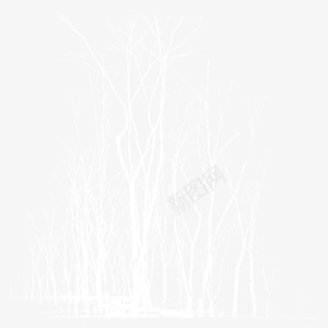 白色树枝海报背景装饰图案png免抠素材_88icon https://88icon.com 树枝 海报背景 电商 白色 装饰