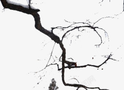 冬季玩雪海报背景黑色树木枝干高清图片