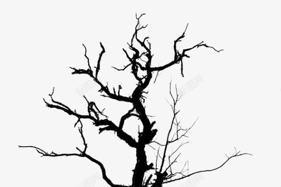 树根粗质感缠绕的树枝图标图标