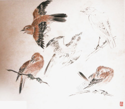 中国古代画画鸟步骤高清图片