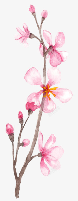 粉色桃花树枝素材