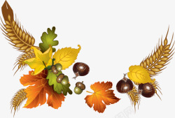 秋天麦穗树叶果实素材